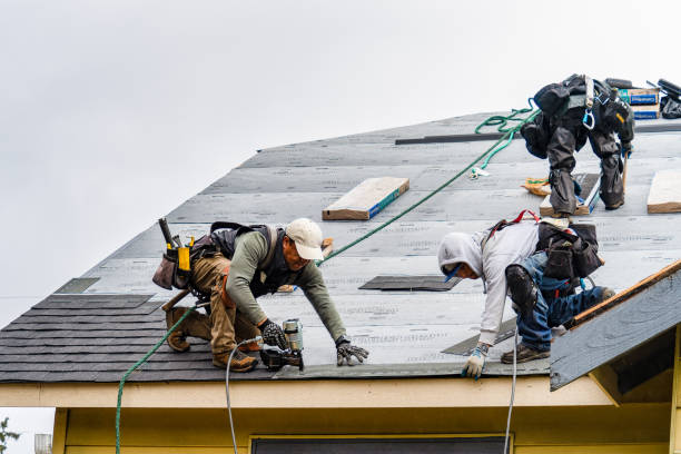 Professional Gutter Installation technician working in Malone, WA